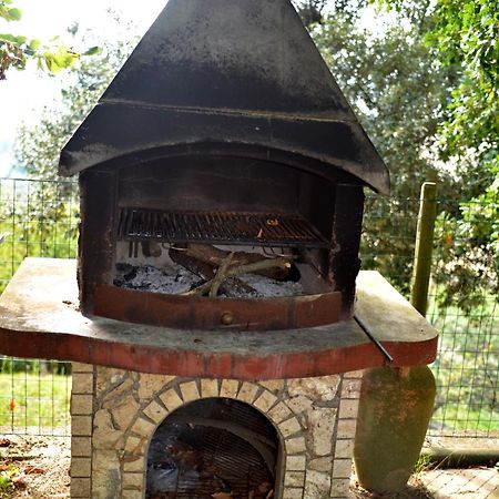 Agriturismo Podere Biancospino Piscina Privata Chianciano Terme Eksteriør billede